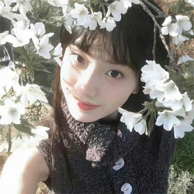 校园风云